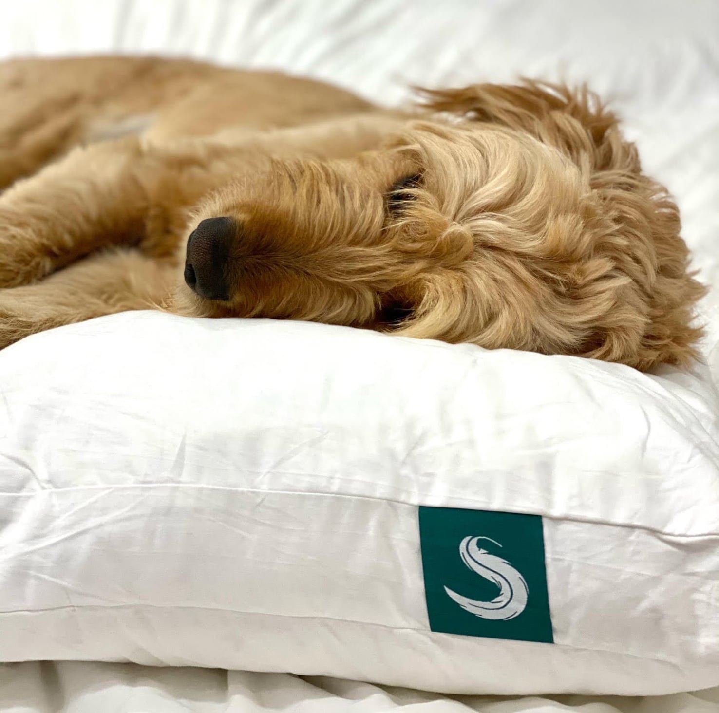 Sleepgram Pillow 15